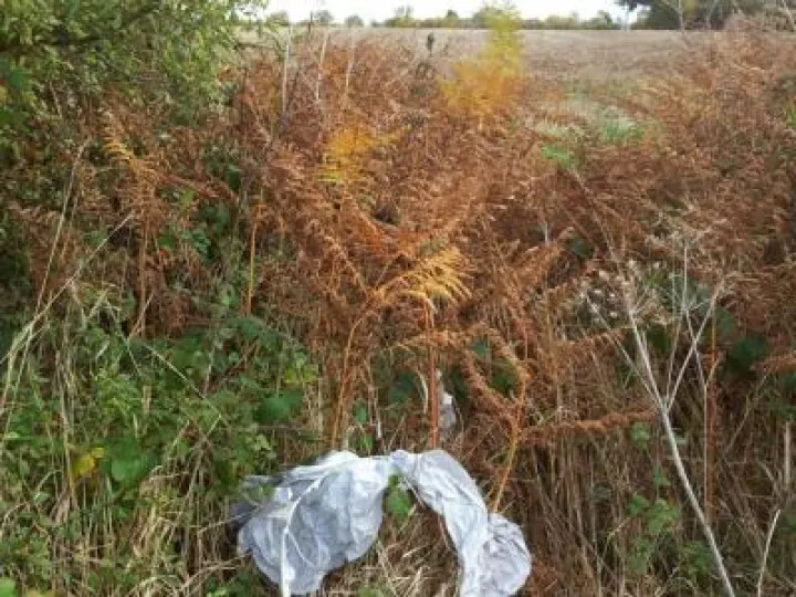 Sky Lantern Litter