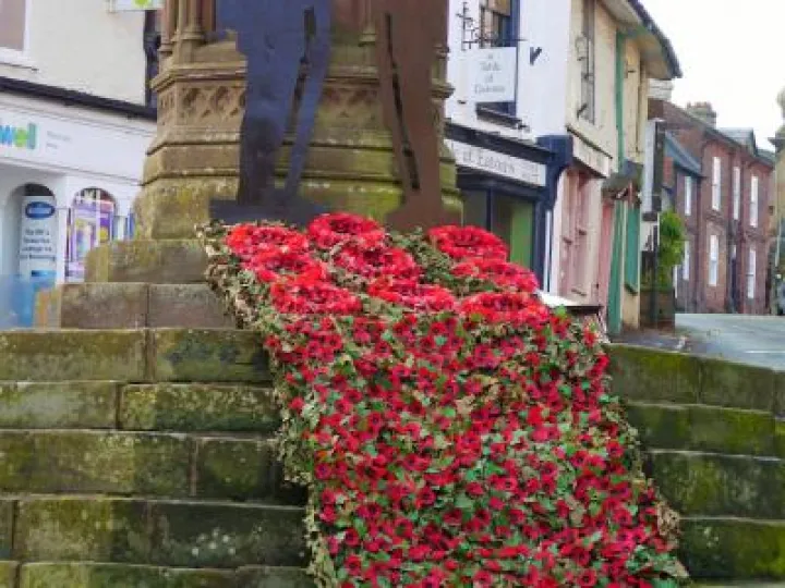 memorial poppies2