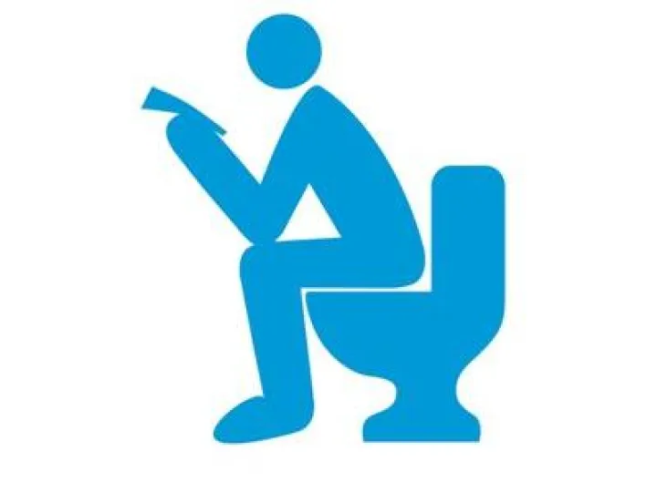 Toilet twinning logo
