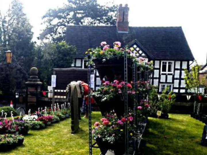 plantsale2