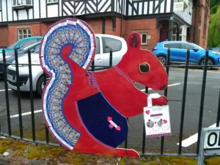 squirrels