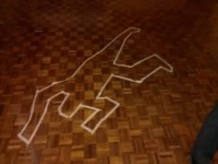 Murder Mystery 2