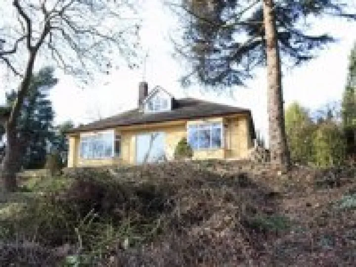 Lawyers Wood