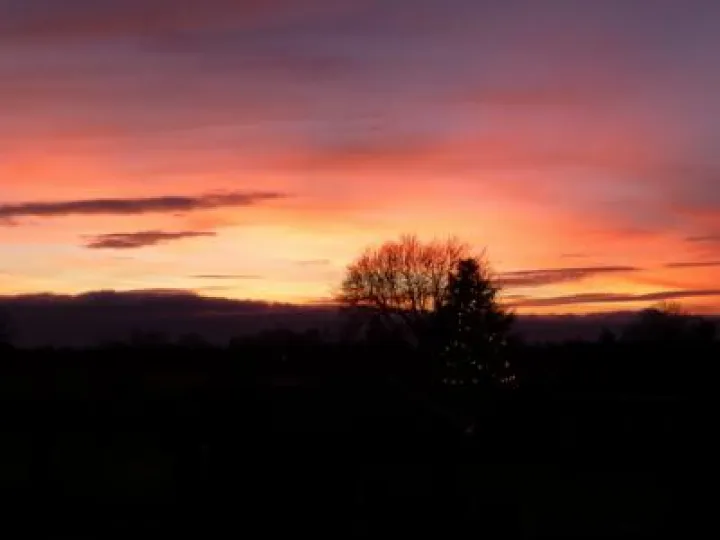 Sunset over Buerton