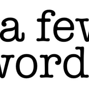 in a few words logo