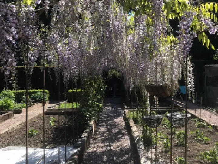 Open Gardens