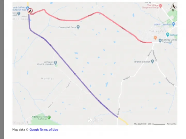 Frog Lane