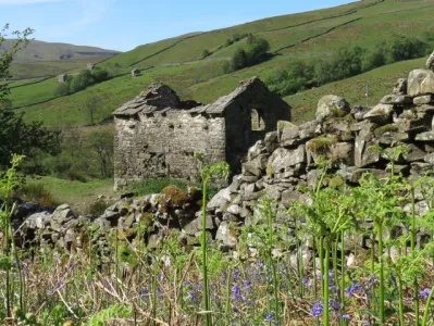 bluebell_barn
