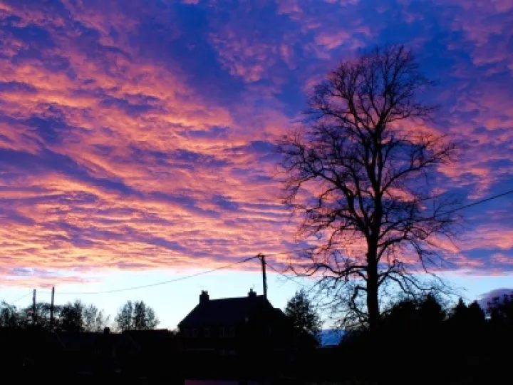 Evening sky