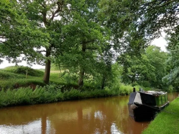 Summer Canal Scenes
