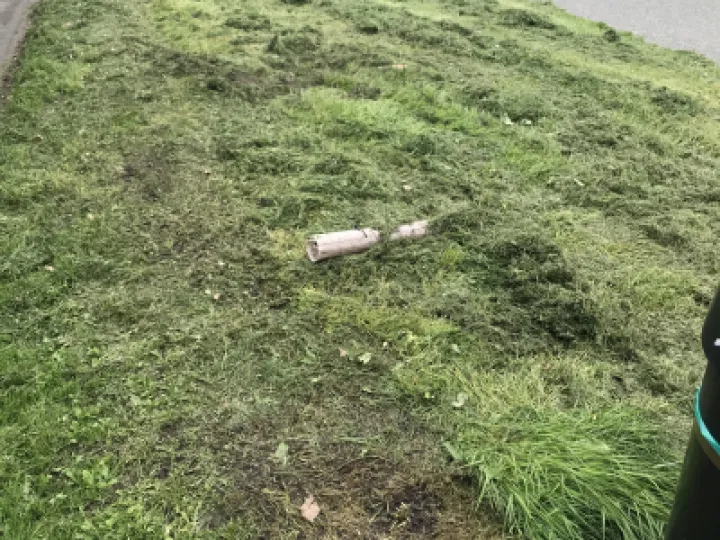 grass 11