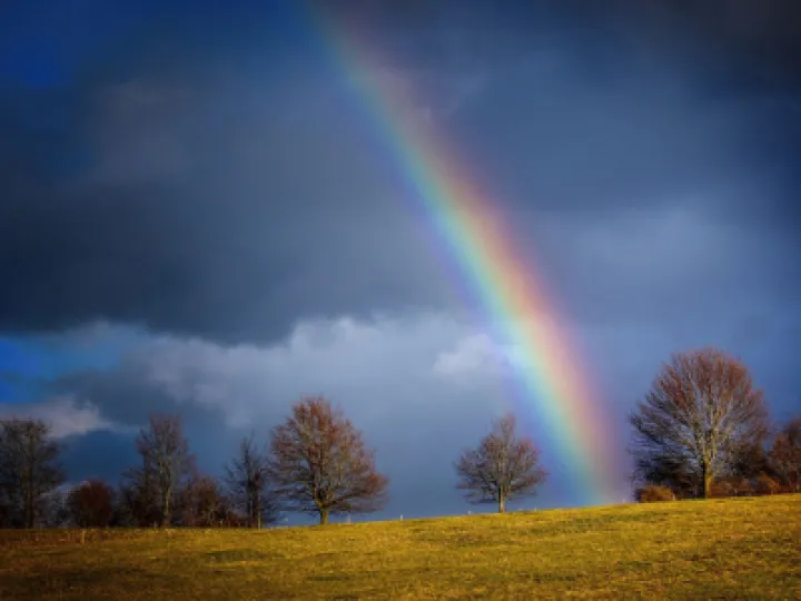 rainbow-5108122_1920 (1)