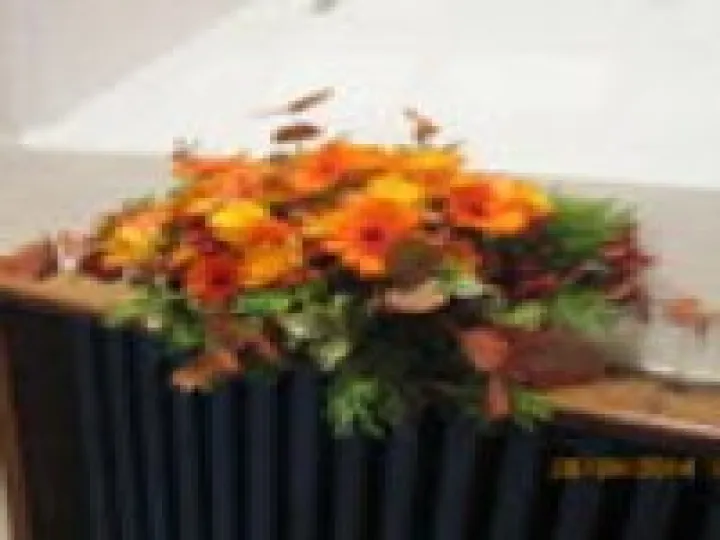 Harvest 4