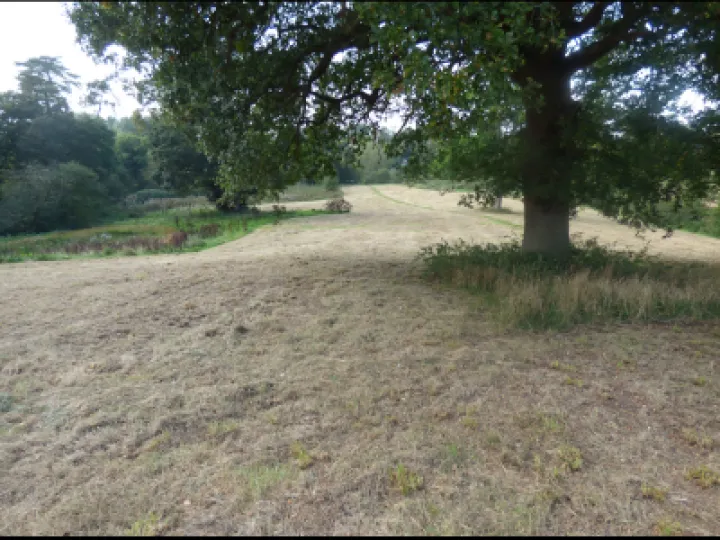 Turn Pike Field