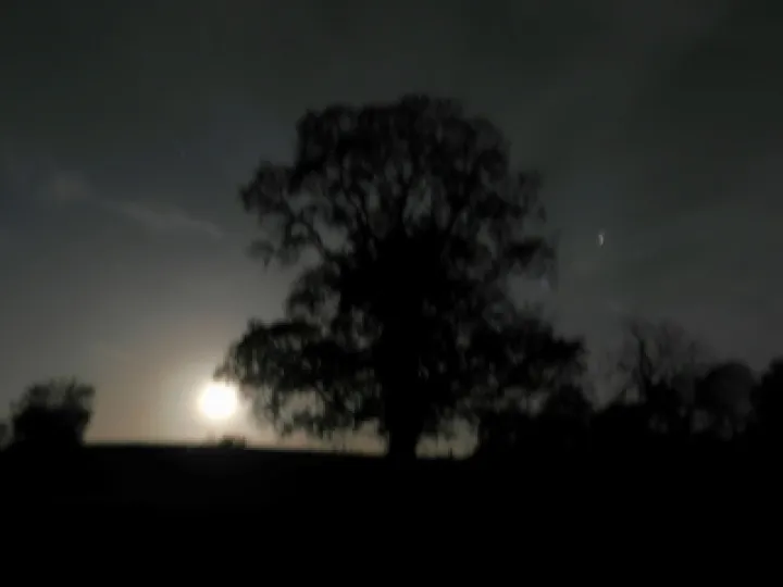 moonrise