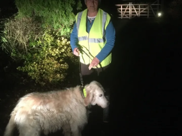 hi viz 3