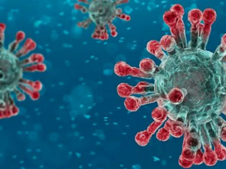 Coronavirus image web 570x310