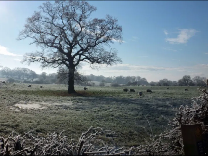 Frosty Audlem 3