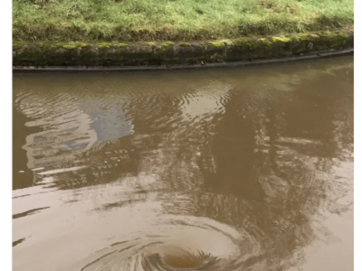 the hole