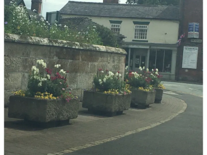 adas flowers