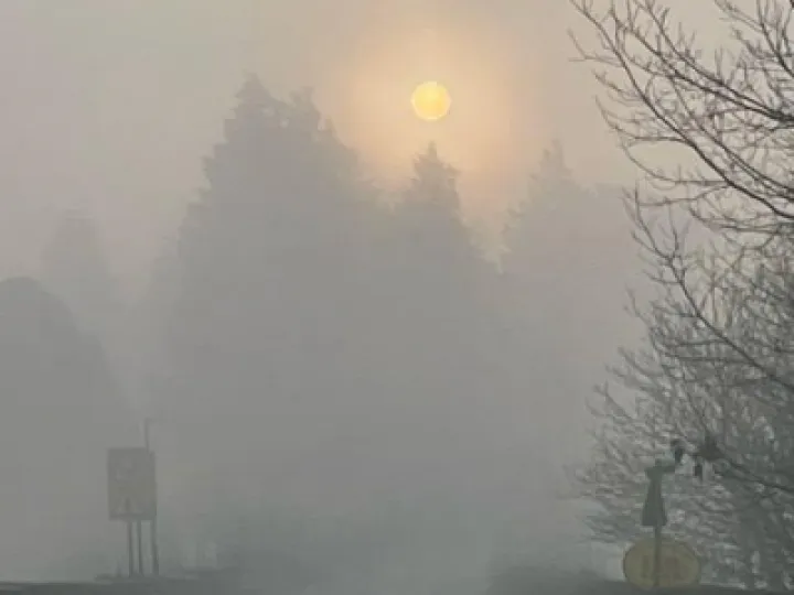 misty morning