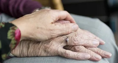 hands