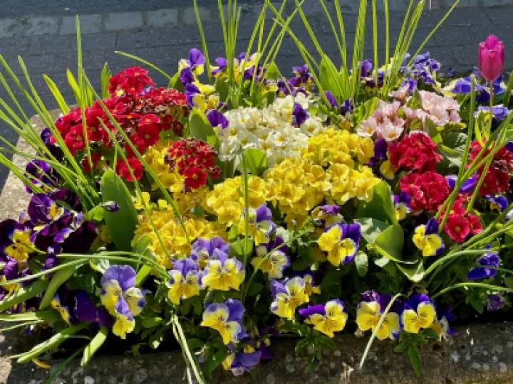 Village Flowers
