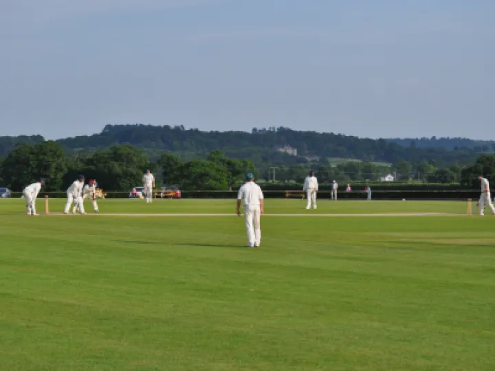 Cricket