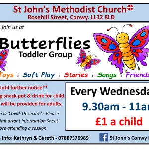 Butterflies Toddler Group Poster