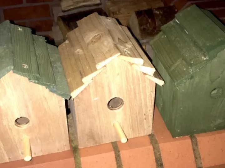 birdbox_IMG_0090