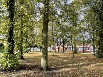 Lower Walton green