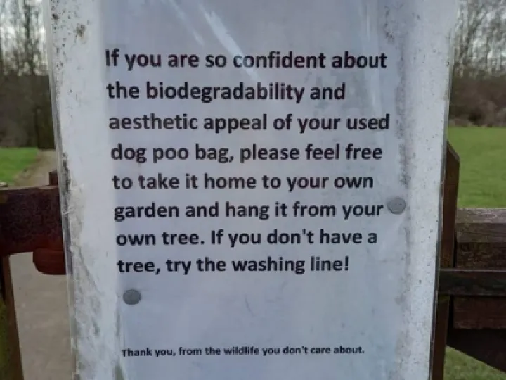 dog poo