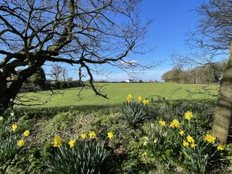 Springtime Walton