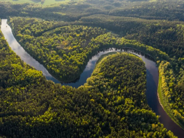 amazon river