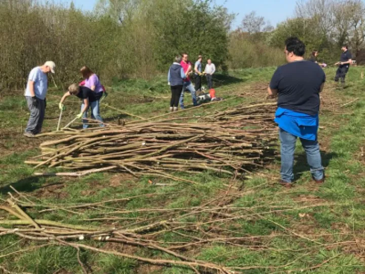 coppice 3