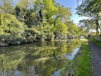 Canal reflections
