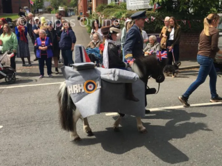 Horse 3