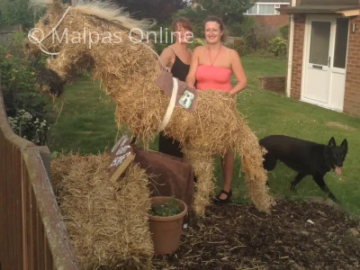 Scarecrow 23