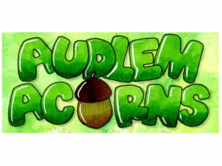 Audlem Acorns Logo