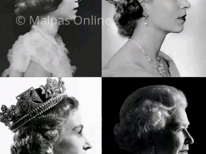 Queen 50