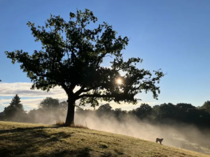 Misty Turnpike