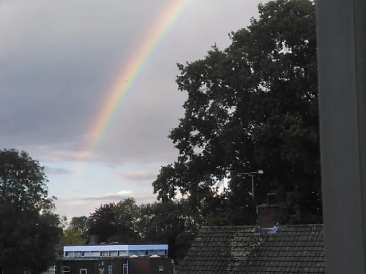 rainbow