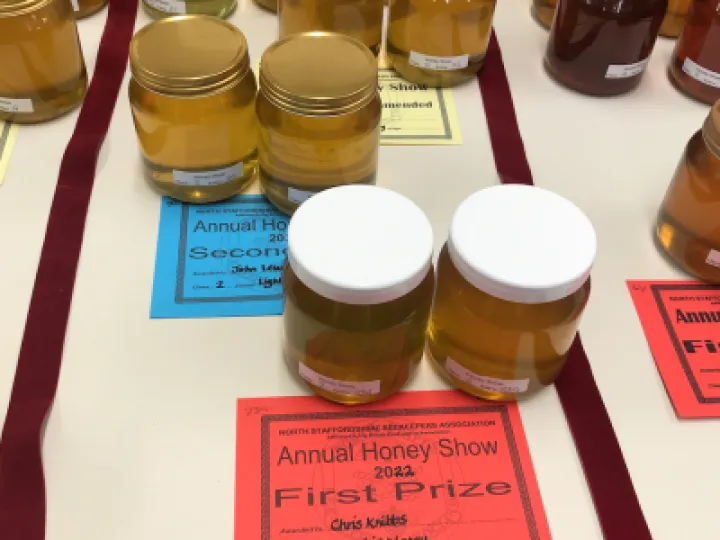 ADAPT Honey