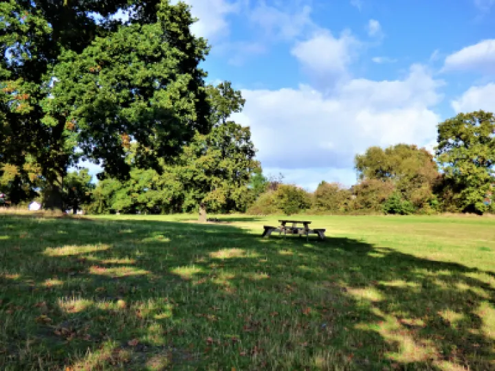 Turnpike Field