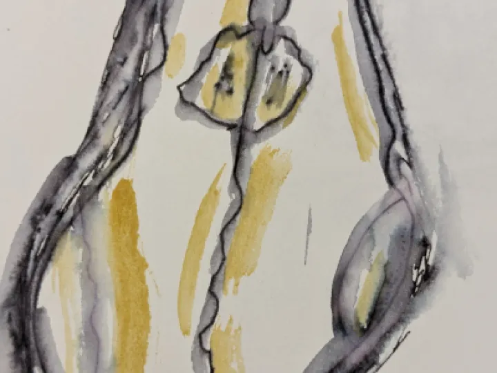 PXL_20230301_163126217