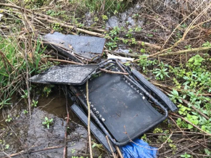Litter 1