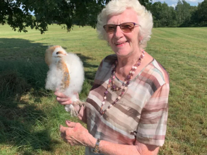 Two Wise Birds