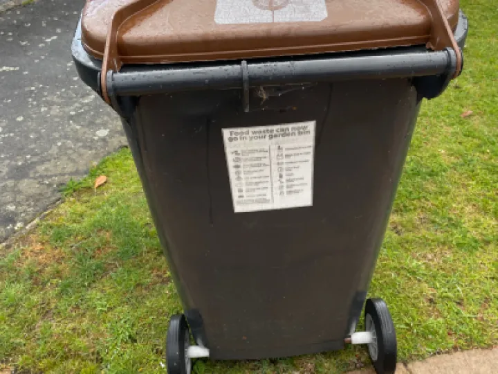 Green Bin