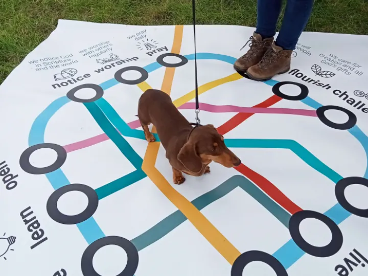 Dog on mat
