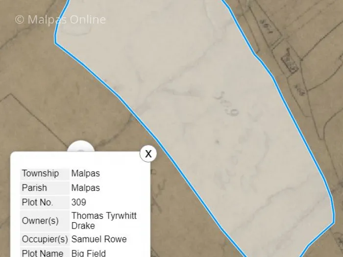 Hidden Field Names
